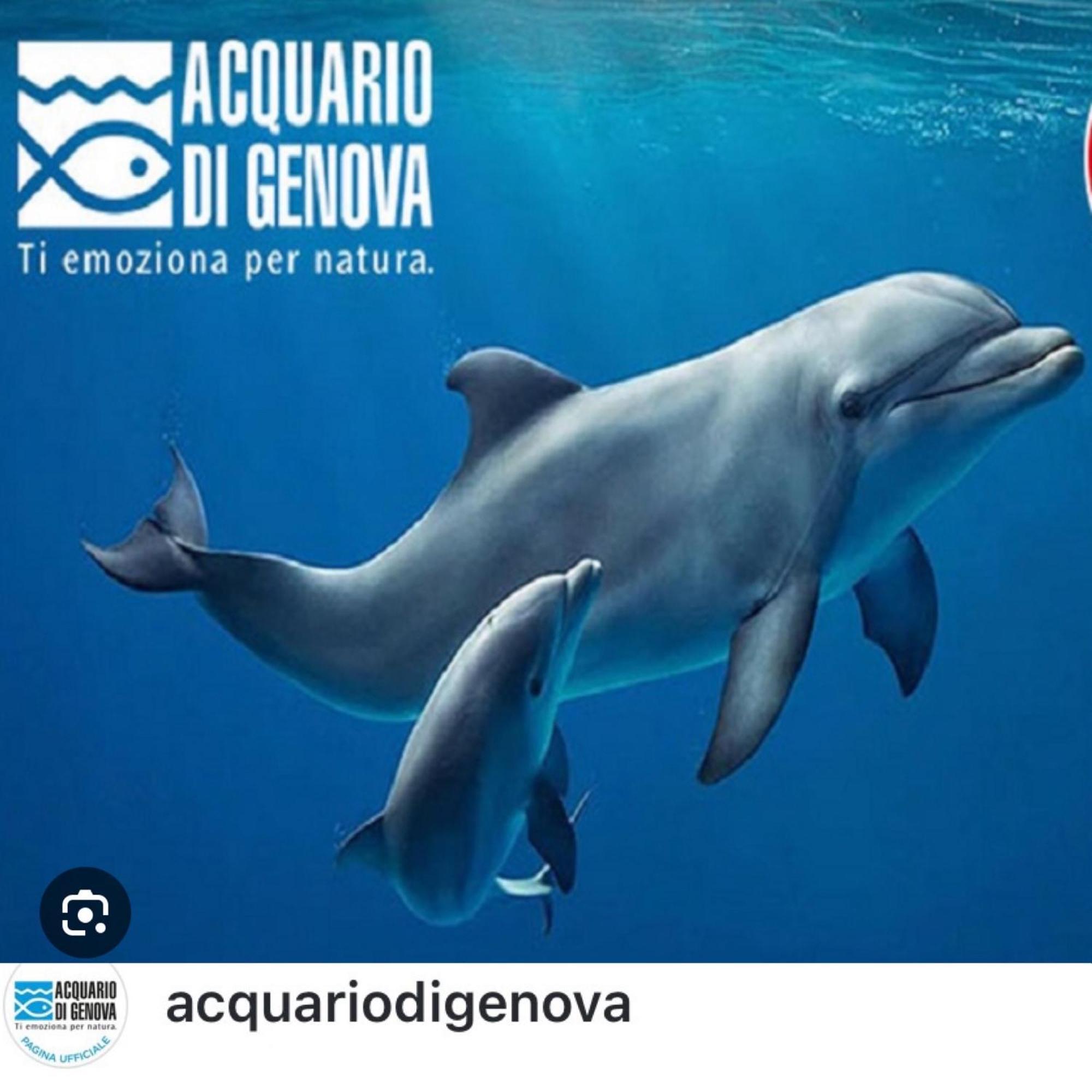 Casa Mia Sea&Center Villa Bogliasco Kültér fotó